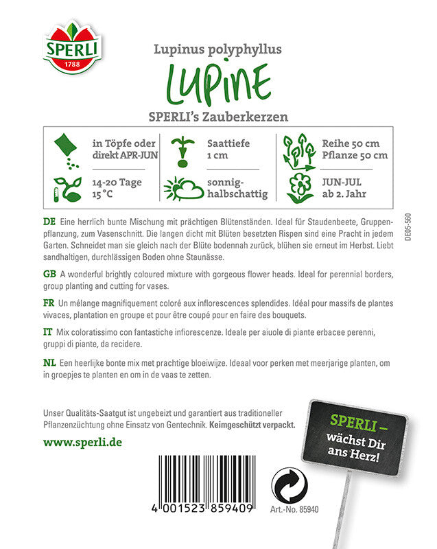  Lupinen SPERLING`s Zauberkerzen