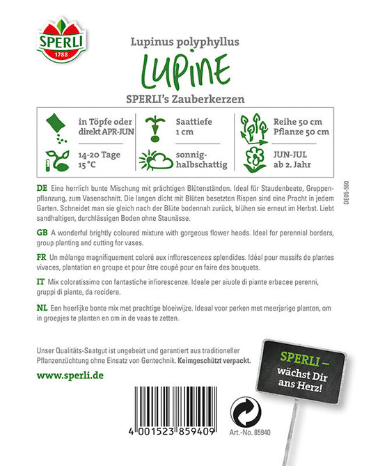  Lupinen SPERLING`s Zauberkerzen