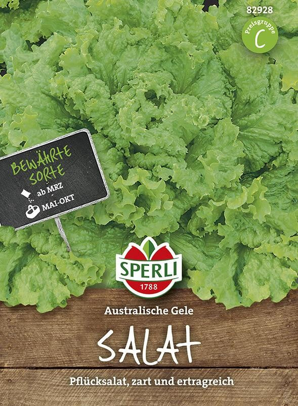  Pflücksalat, Australische Gele