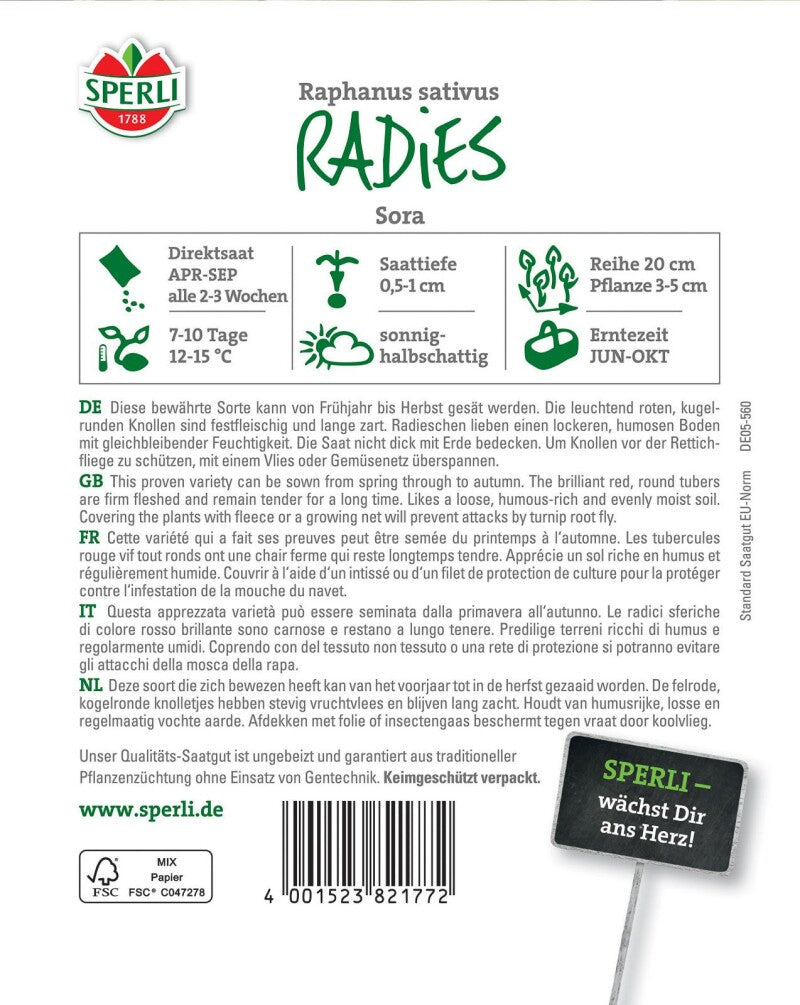  Radies Sora, Ist Auf Grund Ihrer Qualitätsmerkmale Bekannt Und Beliebt, Bleiben Lange Zart Und Fest