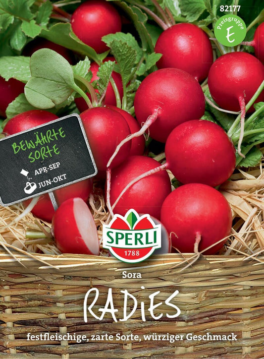  Radies Sora, Ist Auf Grund Ihrer Qualitätsmerkmale Bekannt Und Beliebt, Bleiben Lange Zart Und Fest
