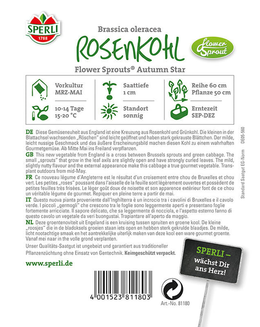  Rosenkohl Flower Sprout Autumn Star