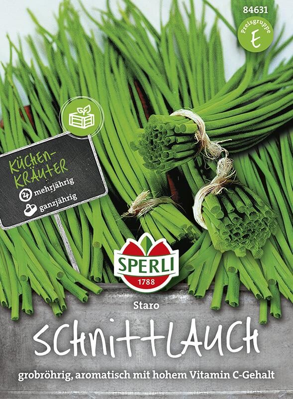  Schnittlauch Staro