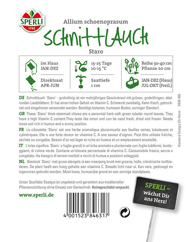  Schnittlauch Staro
