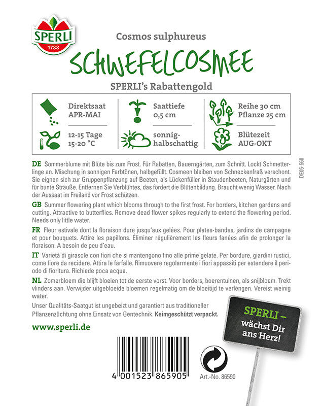  Schwefelkosmee SPERLI´s Rabattengold | Ideal Als Hintergrundpflanzen In Beeten Oder Bauerngärten