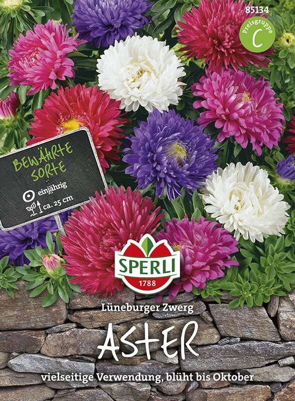  Sommeraster Lüneburger Zwerg Mischung, Ideale Sorte Für Beete Einfassungen Schalen Und Kästen
