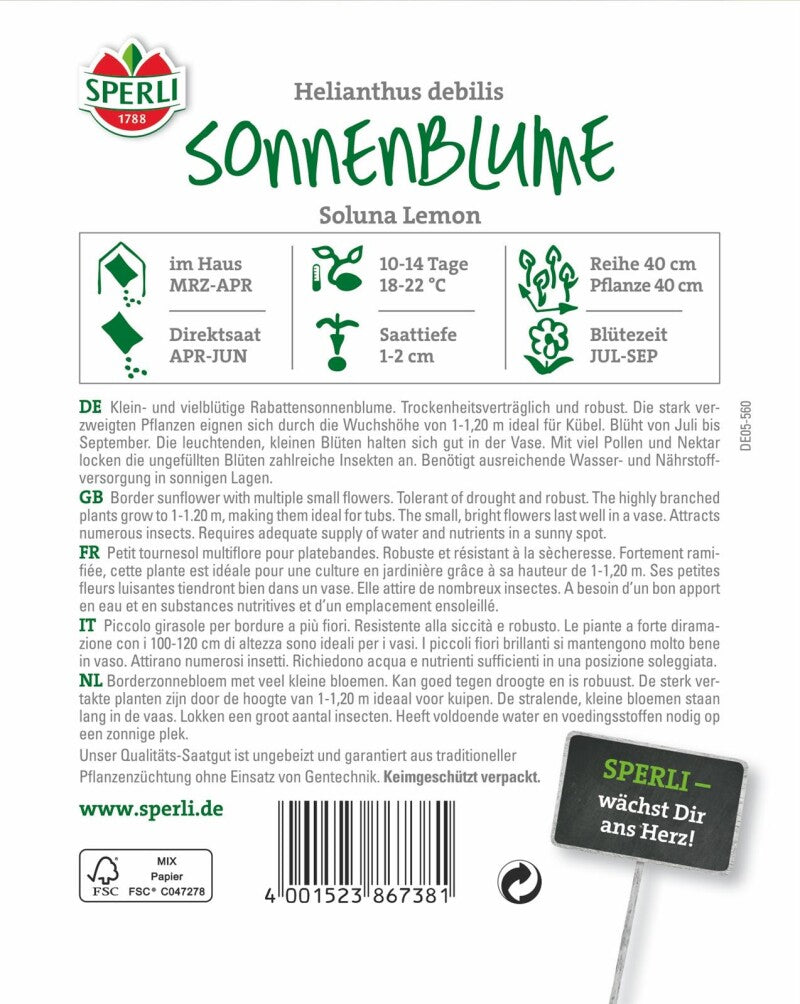  Sonnenblume Soluna Lemon, Blühfreudige Stark Verzweigte Schnittblume Und Nützlingsmagnet