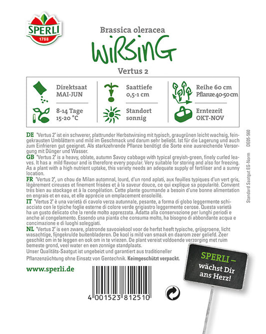  Wirsingkohl Vertus 2