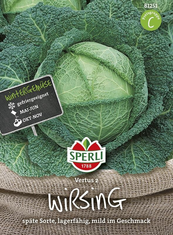  Wirsingkohl Vertus 2