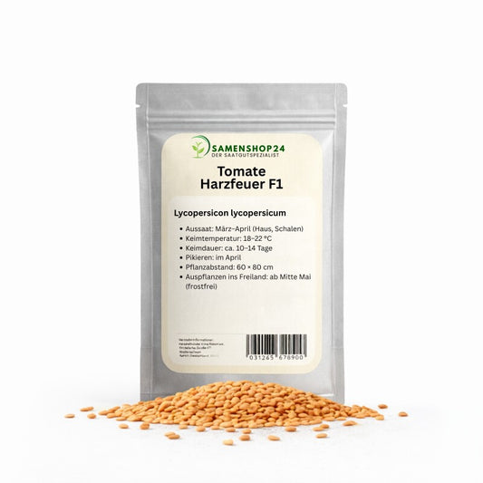  Tomate Harzfeuer F1 1000 Korn