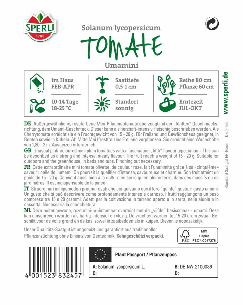  Tomate Umamini F1 (Cherry-Tomate), Einzigartiger Umami-Geschmack, Freiland Und Gewächshaus