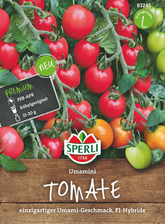  Tomate Umamini F1 (Cherry-Tomate), Einzigartiger Umami-Geschmack, Freiland Und Gewächshaus