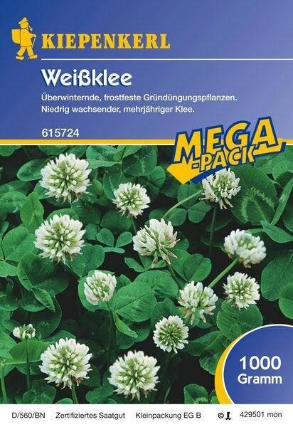  Weissklee Gründünger | 1kg Für Ca. 250 M² | Für Bodendurchlüftung Und Beschattung | Nektarspender