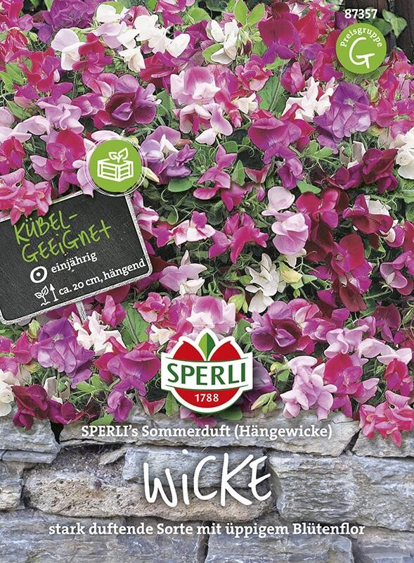  Wicke Sperling's Sommerduft, Hängende Wicke, Eignet Sich Als Gestaltungspflanze In Bauerngärten