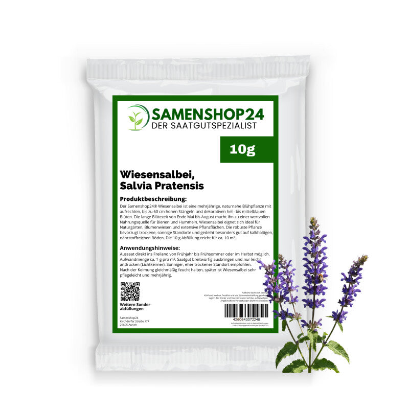  Wiesensalbei, Salvia Pratensis, Inhalt: 10g (für 10 M²)