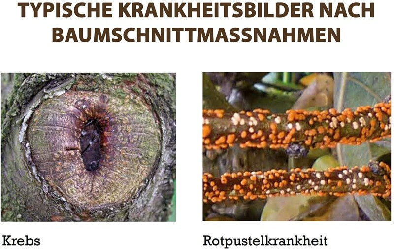 Substral Naturen Wund-Balsam, Inhalt: 350g, Zum Wundverschluss An Obst-, Und Ziergehölzen