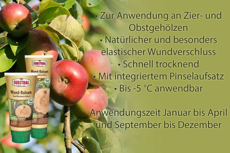  Substral Naturen Wund-Balsam, Inhalt: 350g, Zum Wundverschluss An Obst-, Und Ziergehölzen