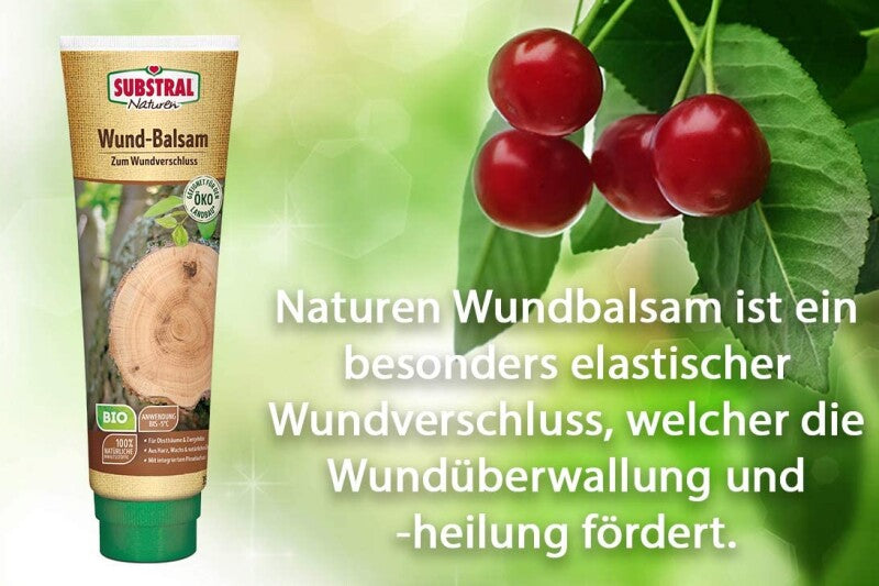  Substral Naturen Wund-Balsam, Inhalt: 350g, Zum Wundverschluss An Obst-, Und Ziergehölzen