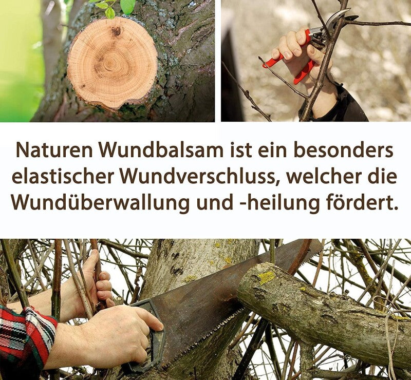  Substral Naturen Wund-Balsam, Inhalt: 350g, Zum Wundverschluss An Obst-, Und Ziergehölzen