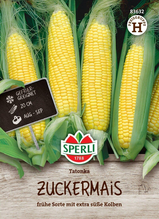  Zuckermais Tatonka F1, Frühe Sorte Mit Extrasüßen Kolben, Gefriergeeignet, Saatgut Von Sperli