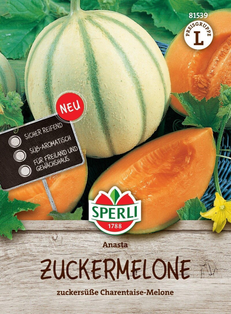  Zuckermelone Anasta F1, Zuckersüße Charentaise-Melone, Sicher Reifend, Freiland Und Gewächshaus